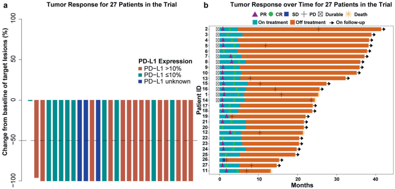 Sintilimab (anti-PD-1 antibody) combined with high-dose methotrexate, temozolomide, and rituximab (anti-CD20 antibody) in primary central nervous system lymphoma: a phase 2 study